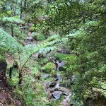 IMG-20241108-WA0024 IMG 20241108 WA0024 150x150 jpg