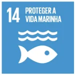 ods_14 proteger_vida_marinha
