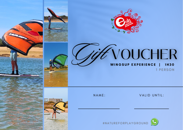 WingSUP Experience eng